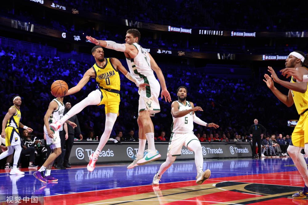 验证技艺的 验证技艺的